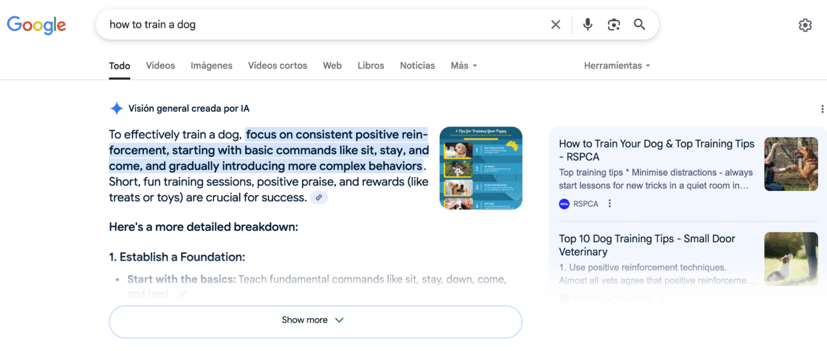 Screenshot 2025-06-11 at 10.07.35 AM